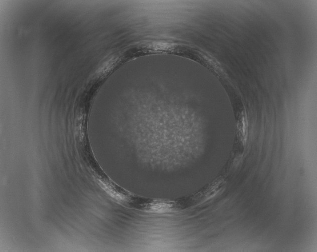 X0000080730462200701021124