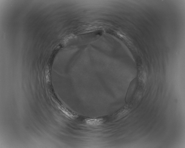 X0000080730465200701021124