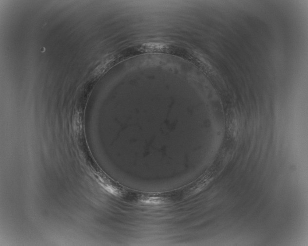 X0000080730467200701021124