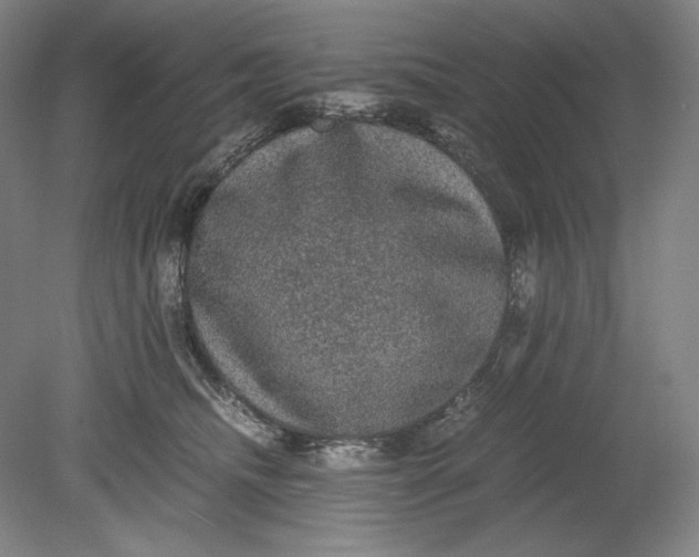 X0000080730468200701021124