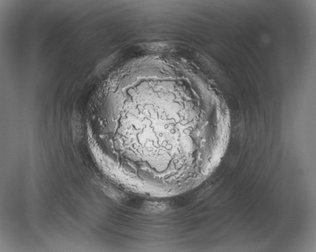 X0000080730469200701021125