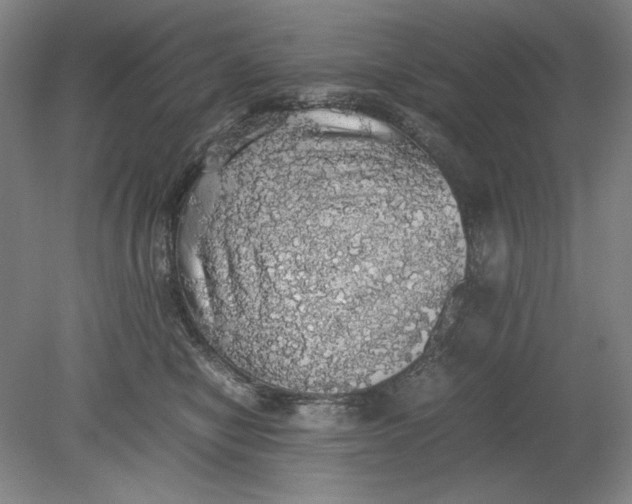 X0000080730470200701021125