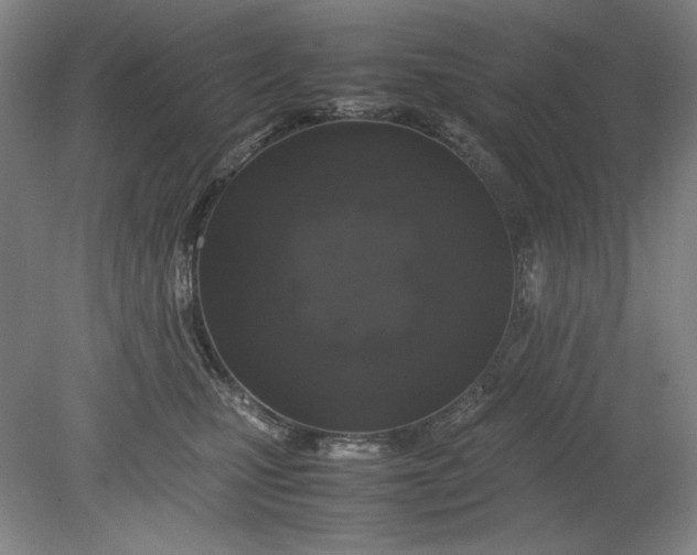 X0000080730471200701021125