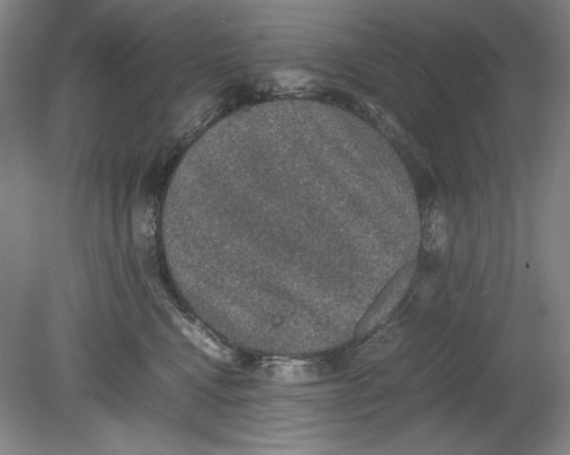 X0000080730472200701021125