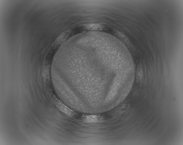 X0000080730473200701021125