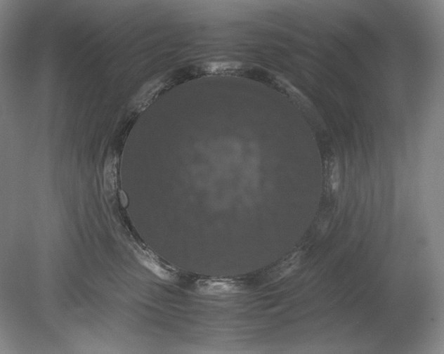 X0000080730475200701021125