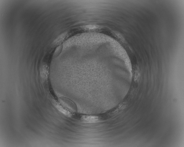 X0000080730476200701021125