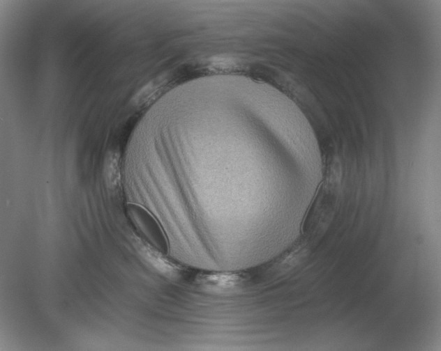 X0000080730478200701021125