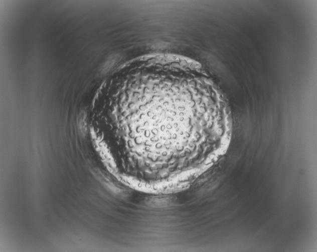 X0000080730479200701021125