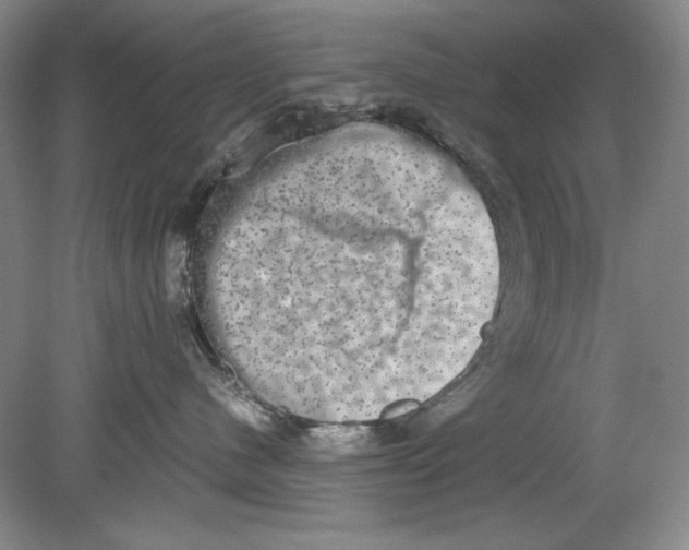 X0000080730480200701021125