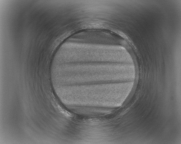 X0000080730481200701021124