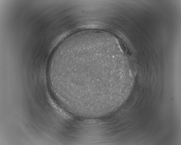 X0000080730482200701021124