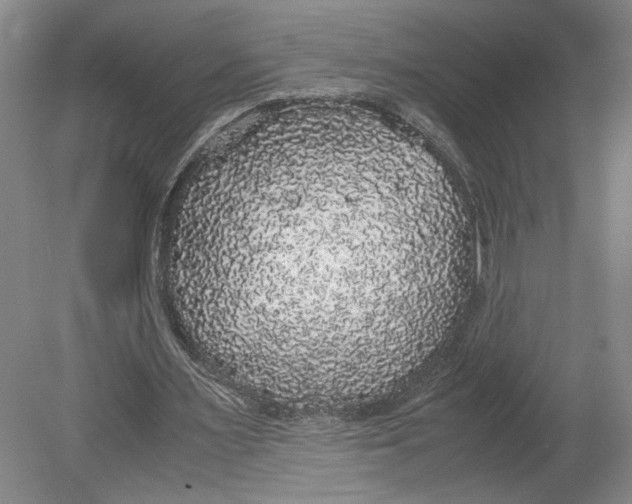 X0000080730483200701021124