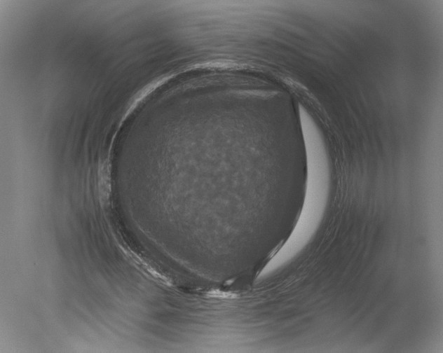 X0000080730484200701021124