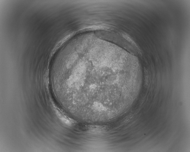 X0000080730486200701021124