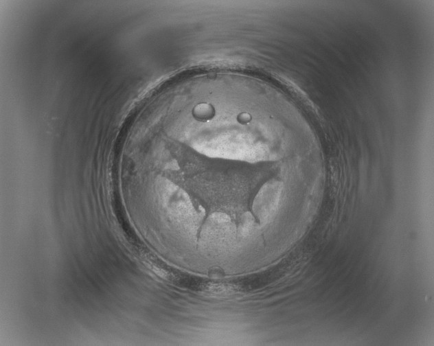 X0000080730487200701021124