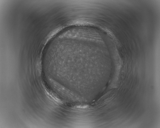 X0000080730488200701021124