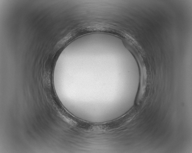 X0000080730489200701021124