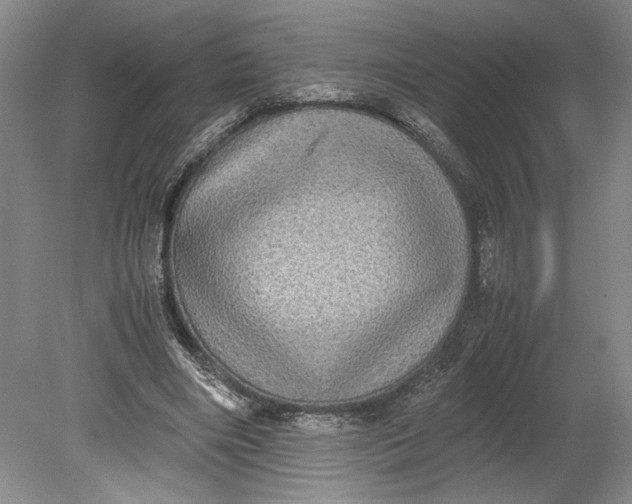 X0000080730490200701021124