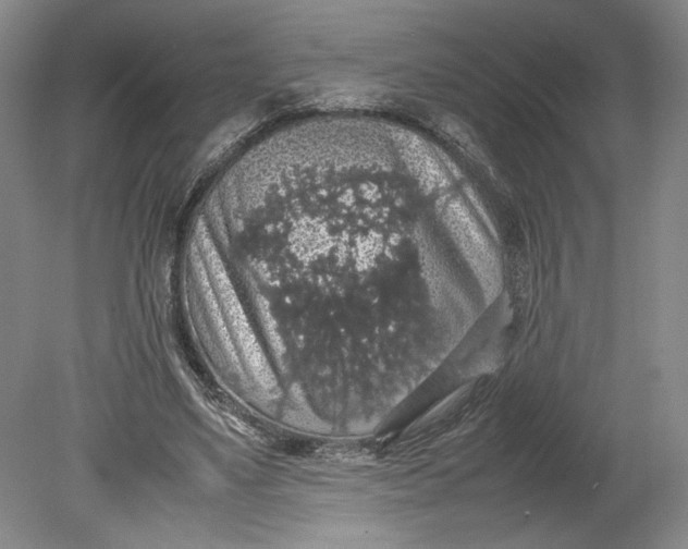 X0000080730491200701021124