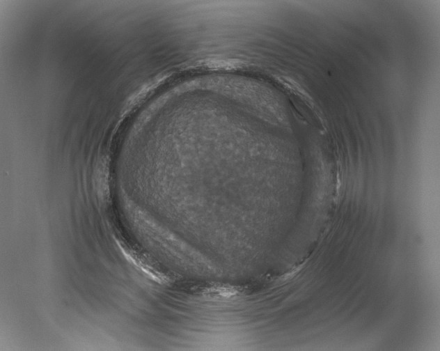 X0000080730492200701021124