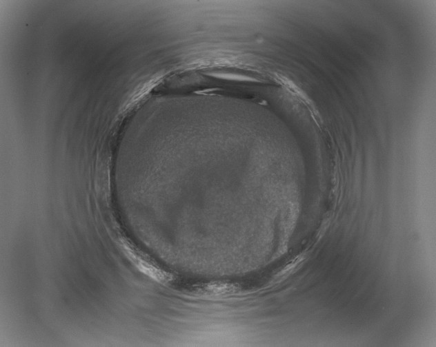 X0000080730493200701021124