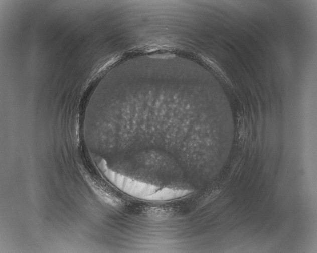 X0000080730494200701021124