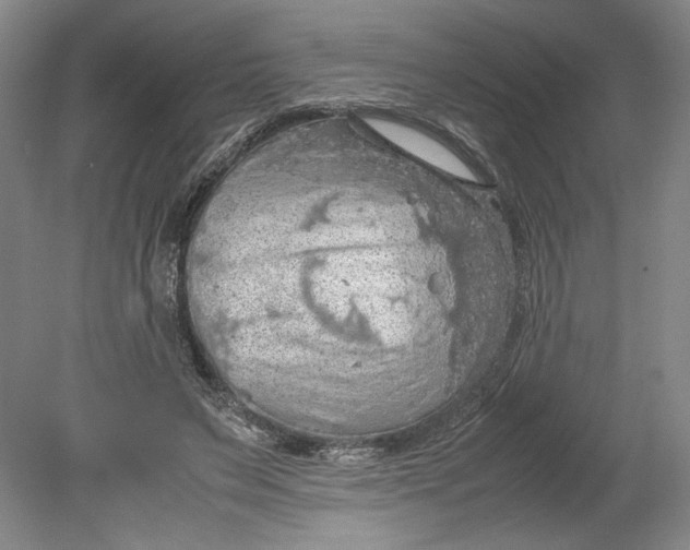 X0000080730495200701021124