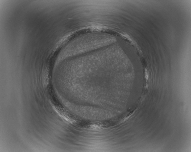 X0000080730496200701021124