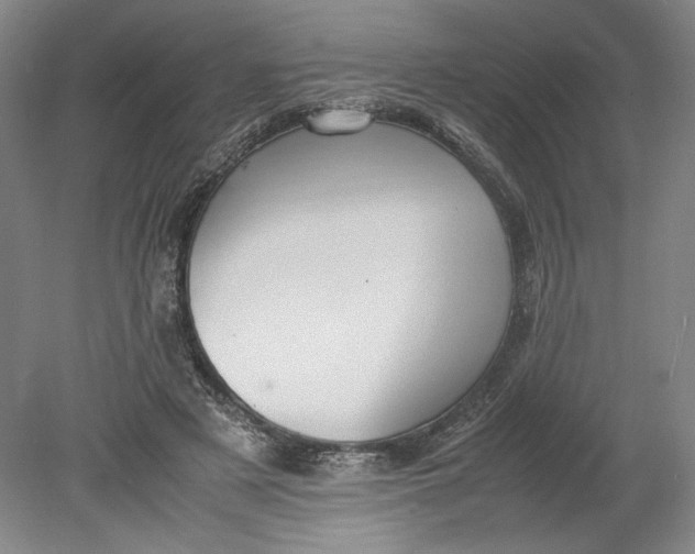 X0000080730497200701021124