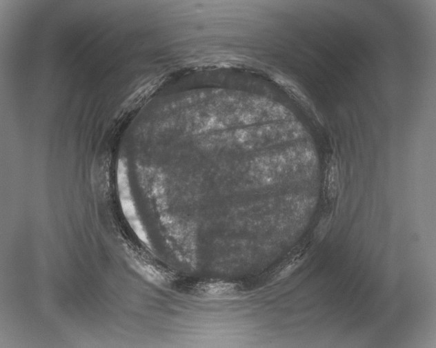 X0000080730501200701021124