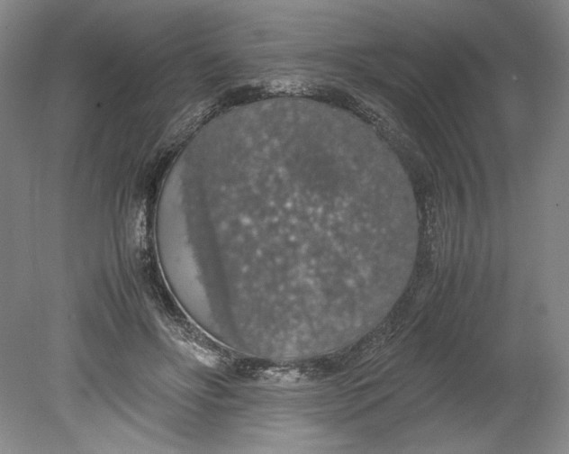 X0000080730502200701021124