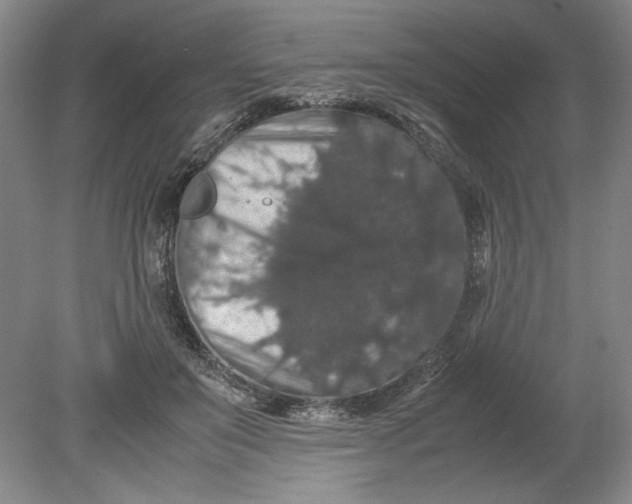 X0000080730503200701021123