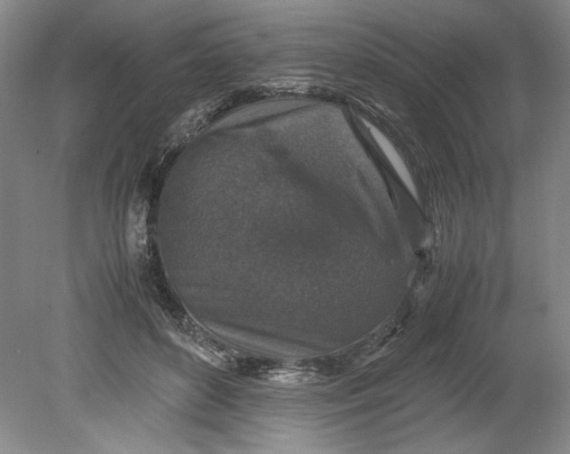 X0000080730504200701021123