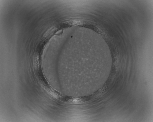 X0000080730506200701021123