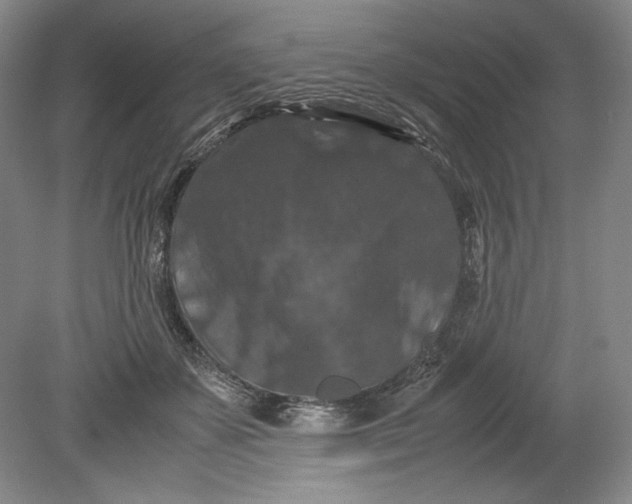 X0000080730507200701021123