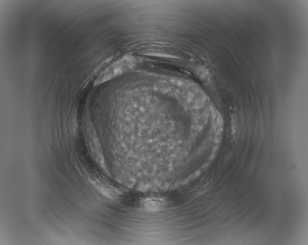 X0000080730508200701021123