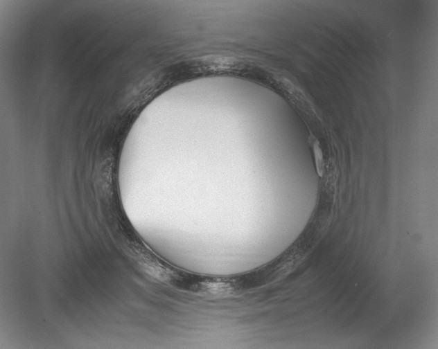 X0000080730509200701021123