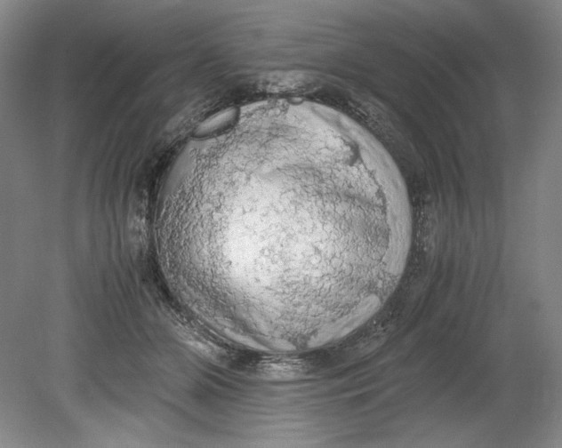 X0000080730510200701021123