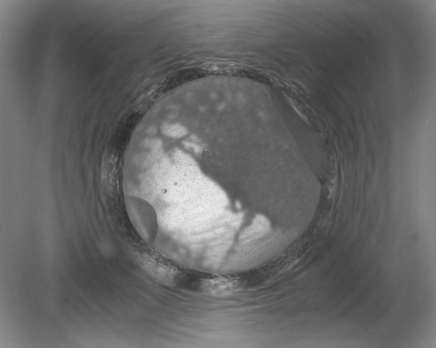 X0000080730511200701021123