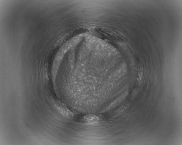 X0000080730512200701021123