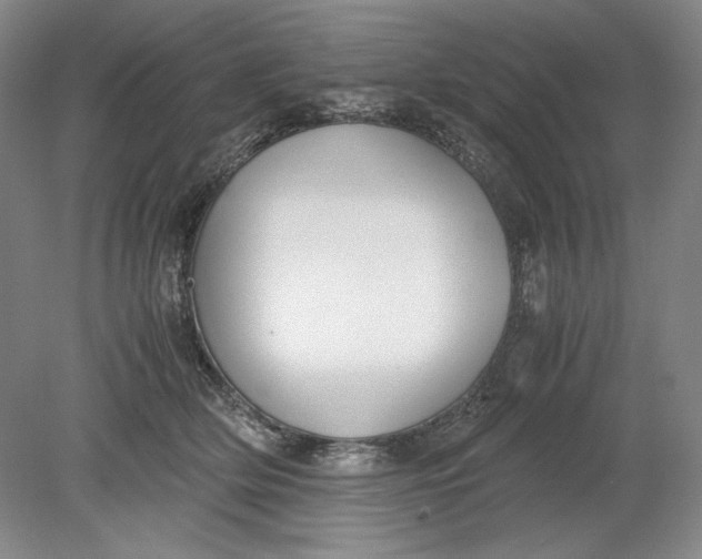 X0000080730514200701021123