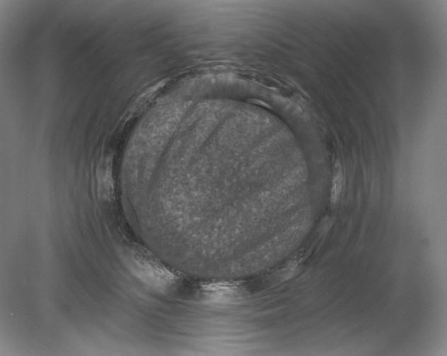 X0000080730516200701021123