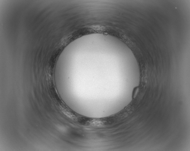 X0000080730518200701021123