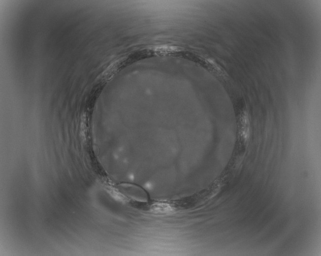 X0000080730519200701021123