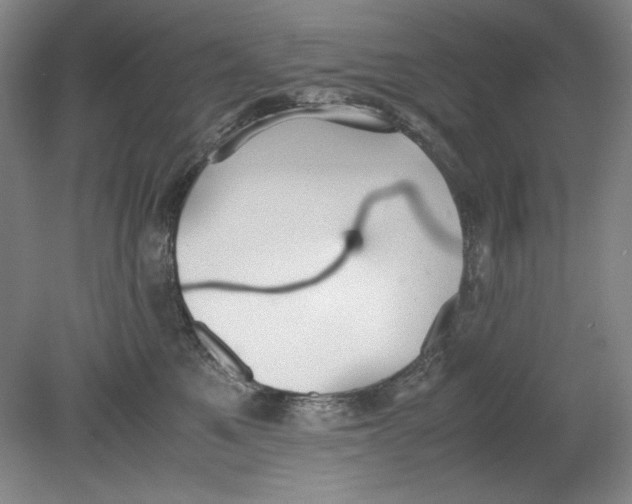 X0000080730521200701021123