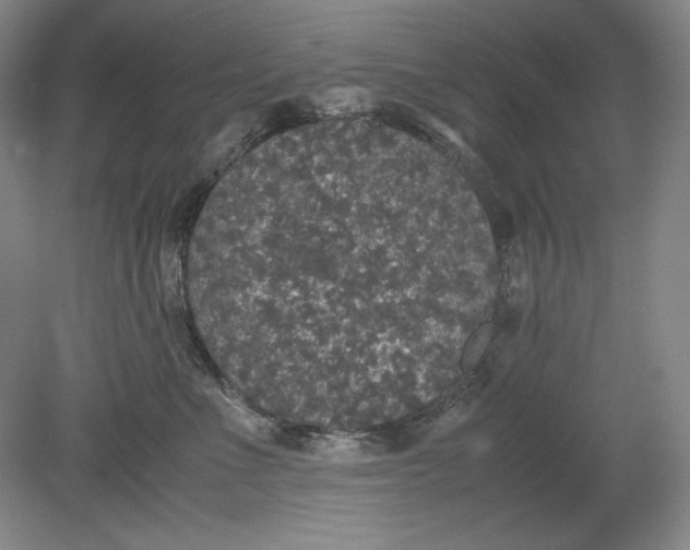 X0000080730523200701021123