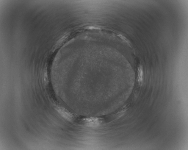 X0000080730524200701021123