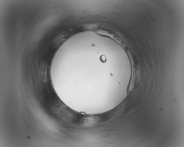 X0000080730525200701021123