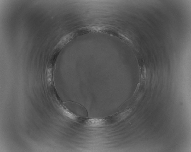 X0000080730526200701021123